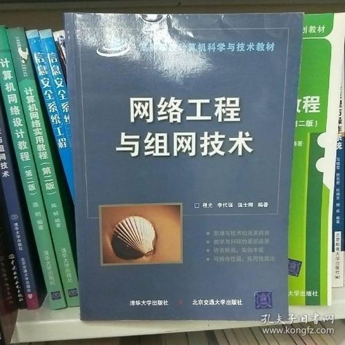 網絡工程與組網 從理論到實踐的系統(tǒng)構建